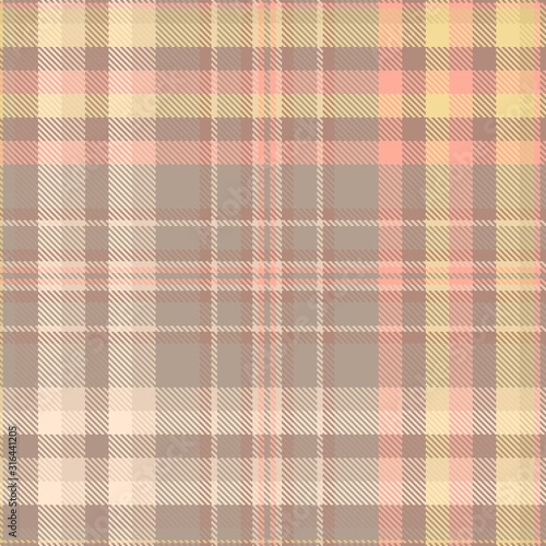 Tartan, plaid pattern seamless vector illustration. Checkered texture for clothing fabric prints, web design, home textile.