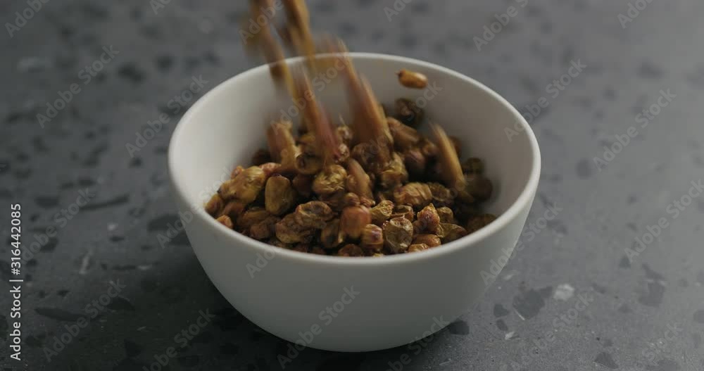Slow motion dried seaberry falling into white bowl on terrazzo countertop Slow motion dried seaberry falling into white bowl on terrazzo countertop