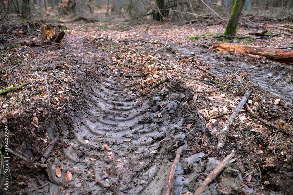 Reifenspuren im Waldboden von Forstmaschinen in abgeholztem Waldgebiet - Stockfoto Reifenspuren im Waldboden von Forstmaschinen in abgeholztem Waldgebiet - Stockfoto