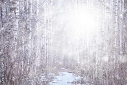 blizzard in the forest background, abstract blurred background snowflakes falling in the winter forest on the landscape