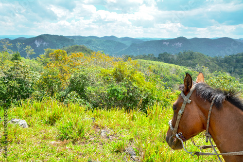 Macal River Valley, Cayo District, Belize. Scene of lush hazy forested limestone hills .