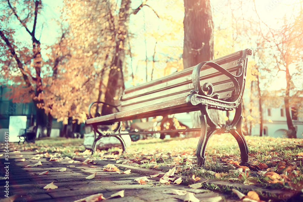 bench in autumn park landscape / seasonal landscape rest in autumn lonely park
