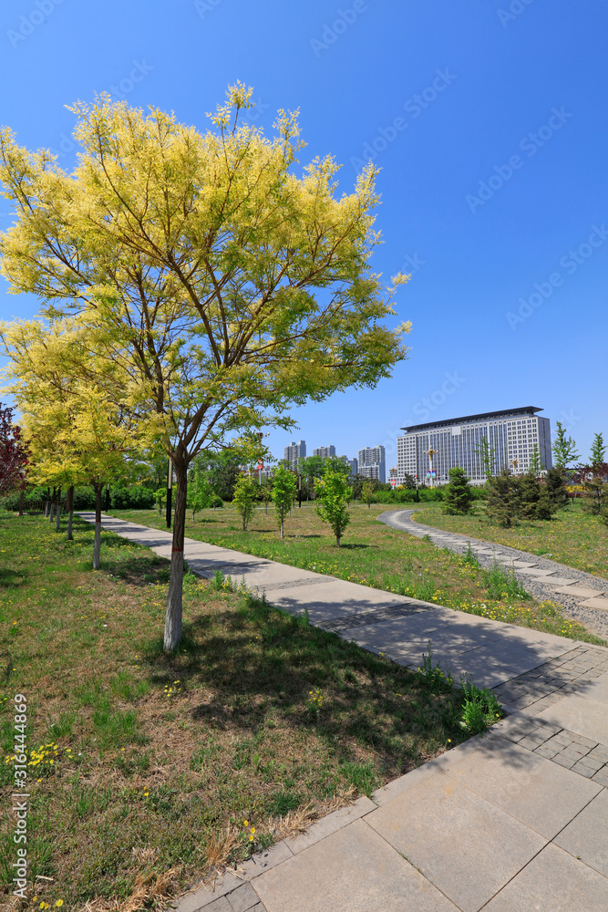 Flagstone Roads and Buildings in Cities, China Flagstone Roads and Buildings in Cities, China