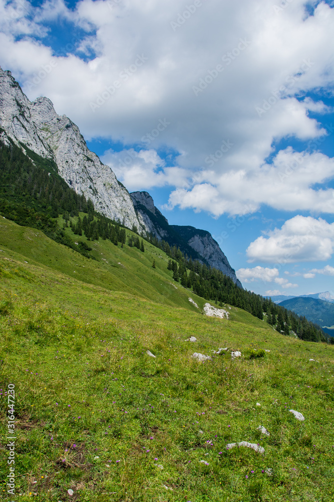 Berchtesgaden auf der Alm 
