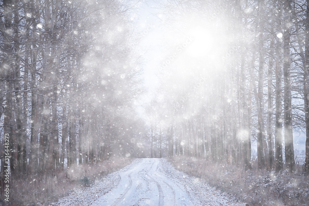 landscape snowfall in the forest, forest covered with snow, panoramic view trees in the snow weather landscape snowfall in the forest, forest covered with snow, panoramic view trees in the snow weather
