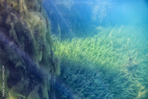 underwater green landscape / nature underwater eco ecology lake, wild diving