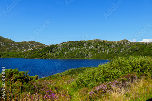 See Loch a Bhadaidh Daraich, roma, in den Highlands von schottland, United Kingdom