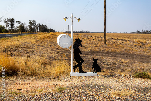 NSW- Man and His Dog Waiting for Mail photo