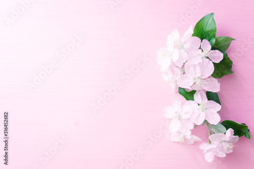 Flowering apple tree branches on a pink wooden background © prokop.photo