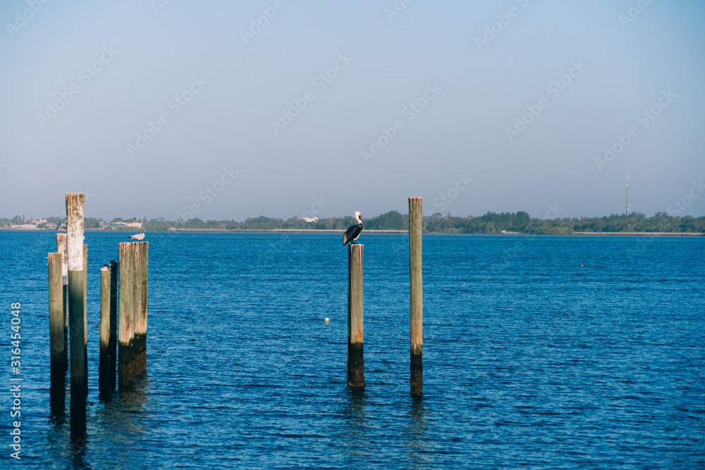 The peace river at Punta Gorda, Florida, USA The peace river at Punta Gorda, Florida, USA