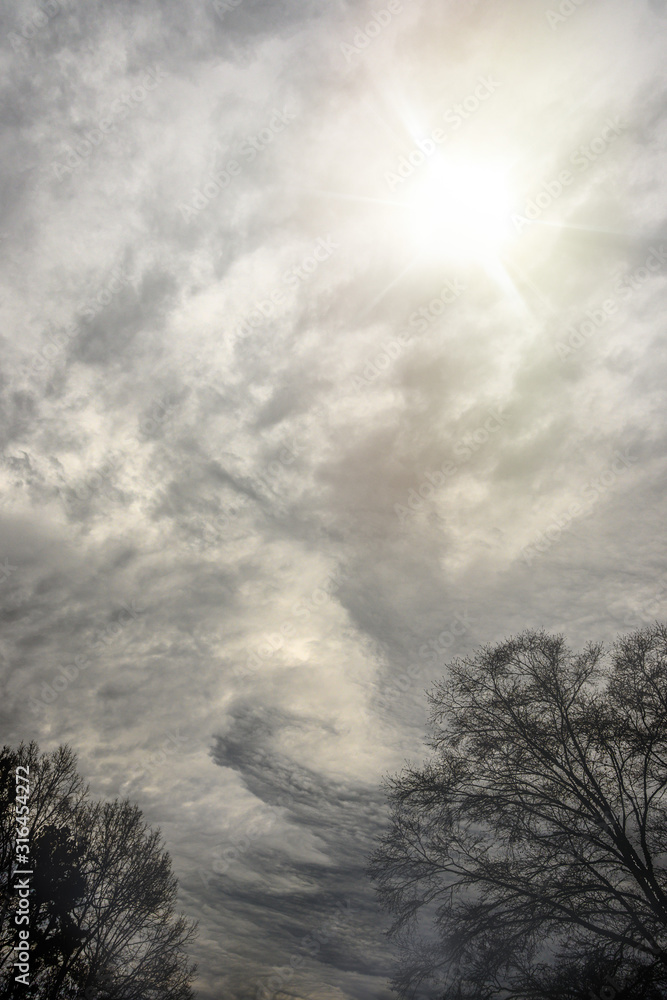 Fototapeta premium Cloud Dreams