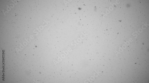 Winter Snow Slow Motion Background