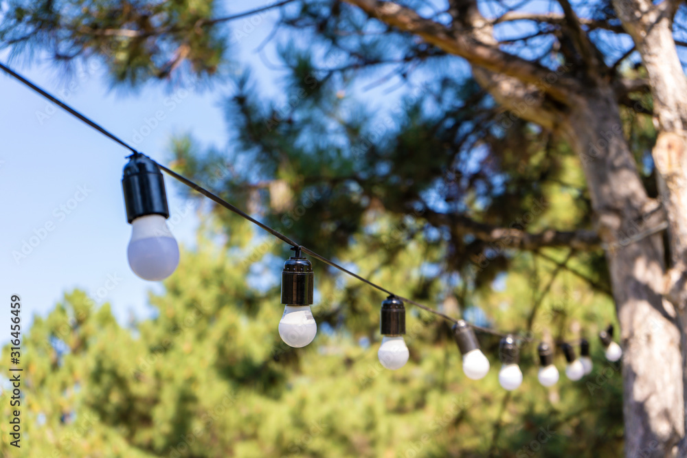 Obraz premium Decoration for an outdoor party. A garland of light bulbs hanging between the trees