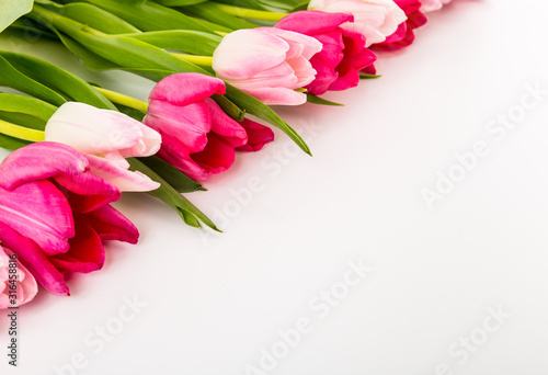Fototapeta Naklejka Na Ścianę i Meble -  Fresh spring tulips on white