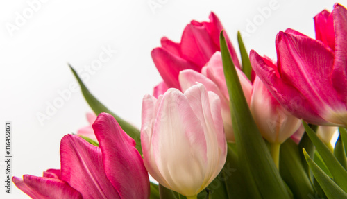 Fresh spring tulips on white © Pavel Rezac