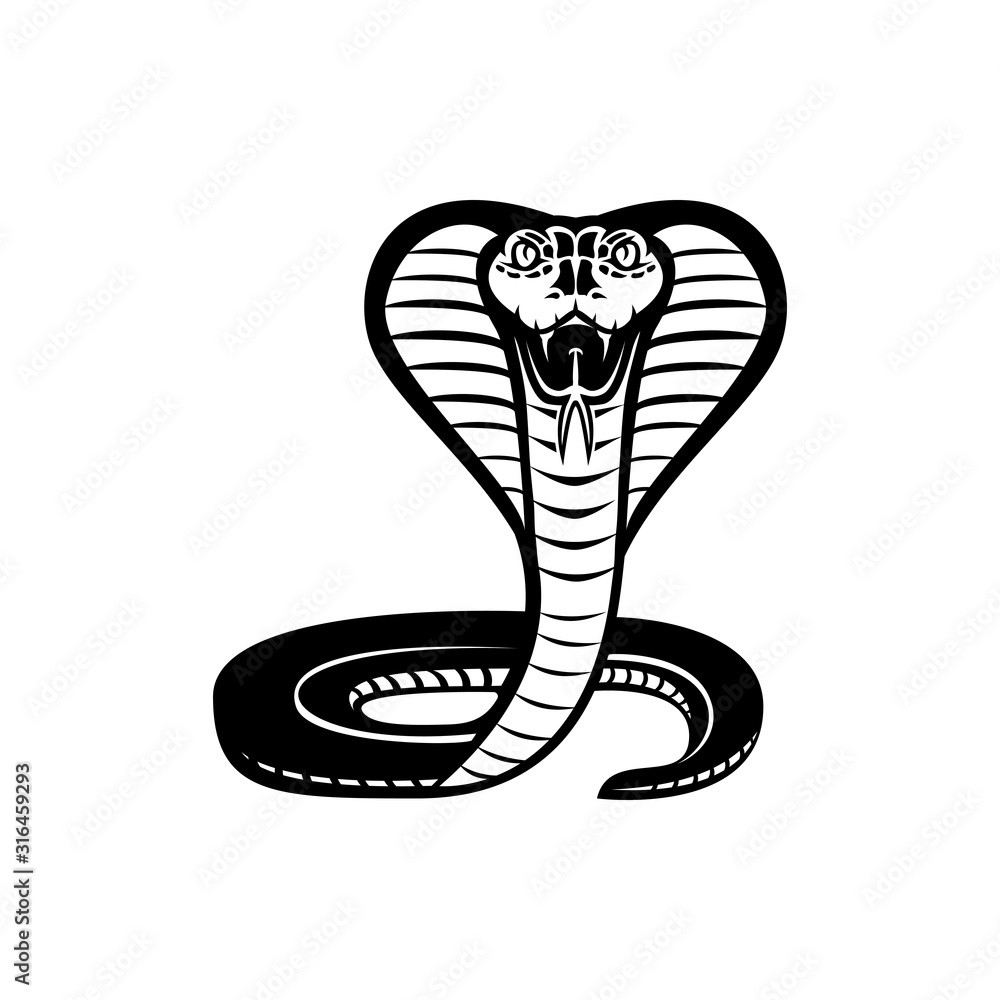 Fototapeta premium snake, cobra vector illustration