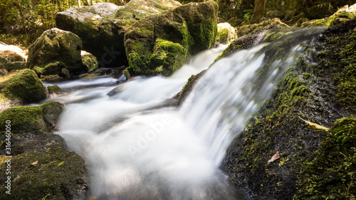 waterfall in forest