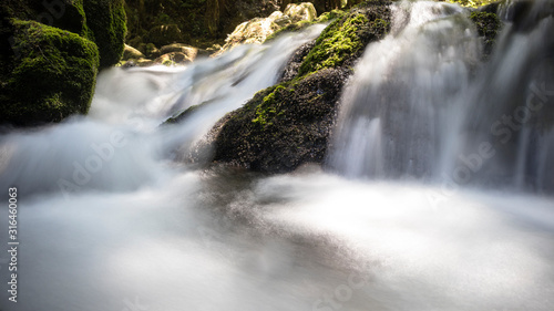 waterfall in forest