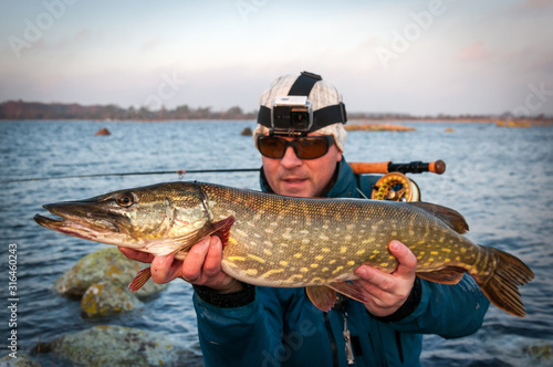 Pike on the fly rod - winter fishing trophy