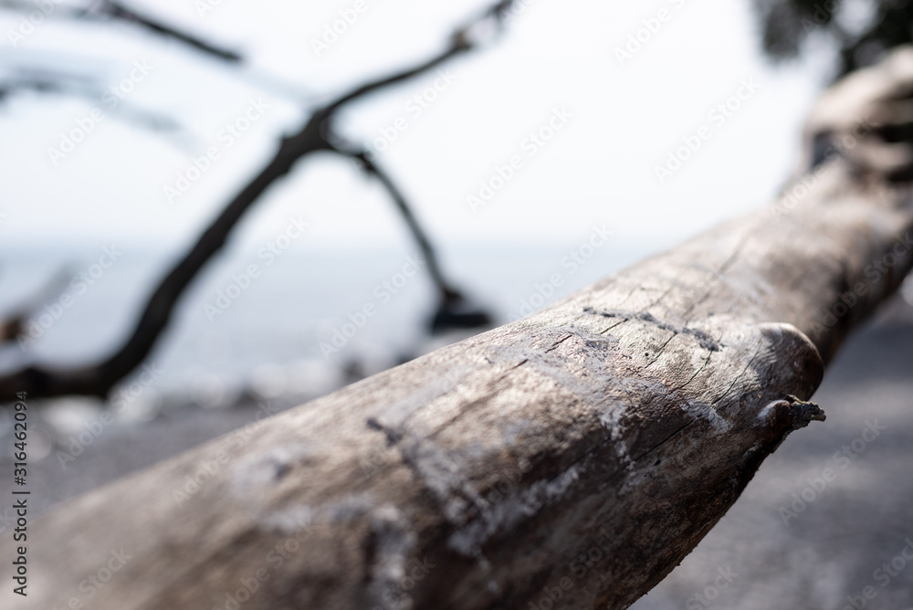 Wooden Tree Branch on the Beach Wooden Tree Branch on the Beach