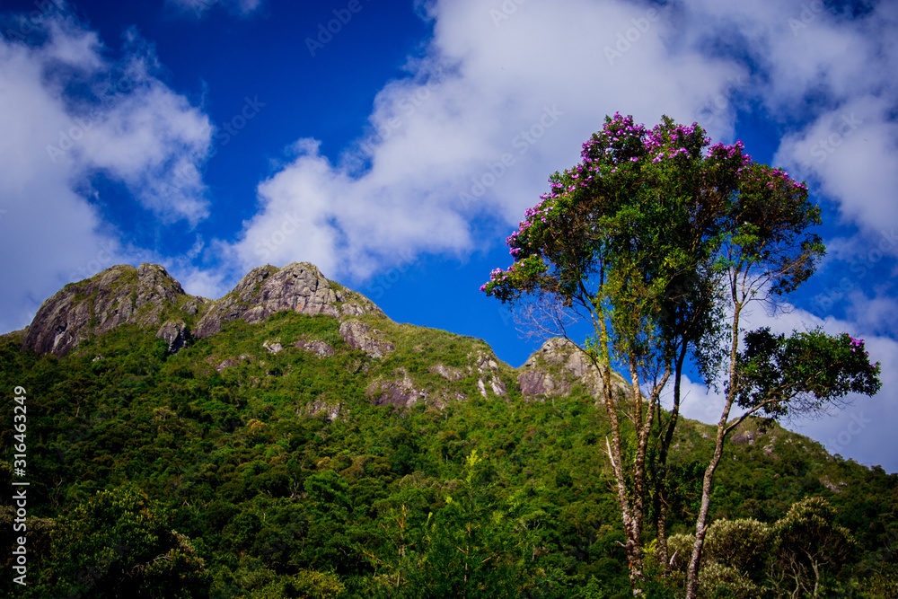 Panoramic view of the Atlantic Forest mountains. Exuberant nature. Itatiaia, Rio de Janeiro, Brazil. Panoramic view of the Atlantic Forest mountains. Exuberant nature. Itatiaia, Rio de Janeiro, Brazil.