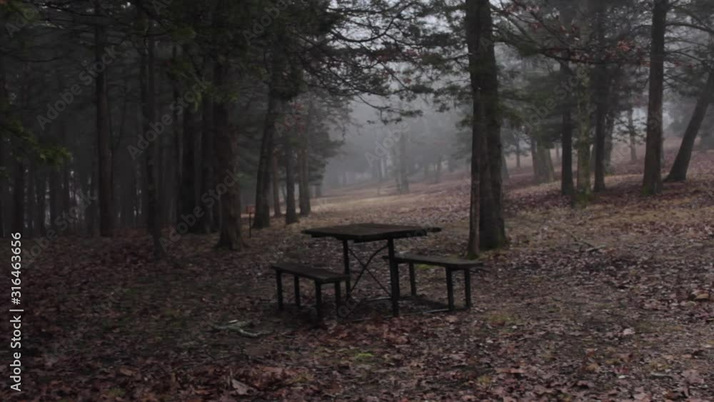 I saw this lonely picnic table sitting in the woods and thought it looked kinda cool. Also the fog in the background was kinda moody as well. I saw this lonely picnic table sitting in the woods and thought it looked kinda cool. Also the fog in the background was kinda moody as well.