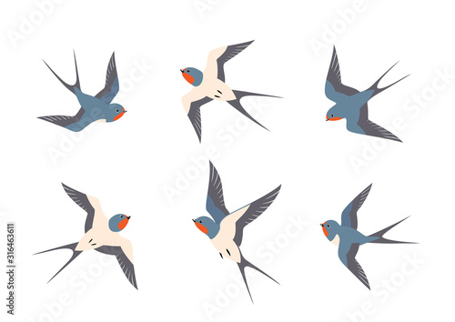 Set of swallows birds in flight