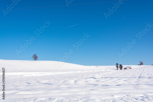 雪原と青空　美瑛町 © kinpouge