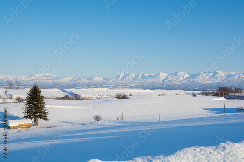 北海道の冬の畑作地帯と山並み 十勝岳連峰