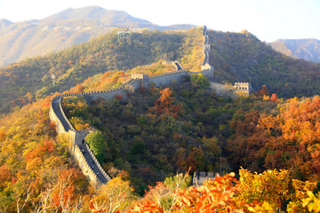 Leinwandbilder Chinesische Mauer Chinesische Mauer in herbstlichen Farben  © zhengzaishanchu