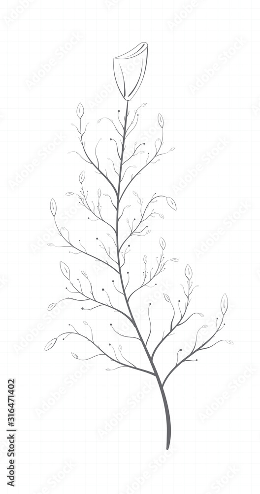 Detailed drawing of a branch with flower and leaves