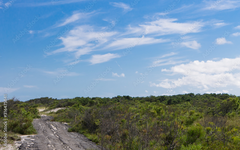 Old Baltimore Road on Assateague Island on a sunny summer day