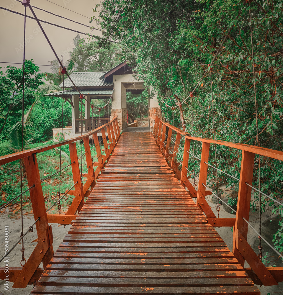 Fototapeta premium Footbridge at Penang national park, Malaysia