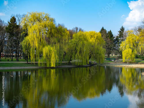 Beautiful lake reflection view