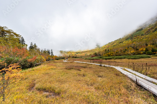 Tsugaike nature park at nagono, otari village photo