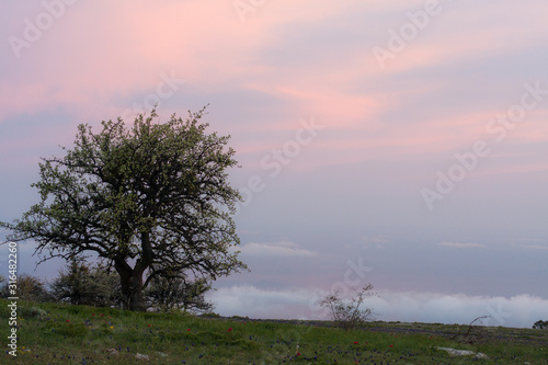 spring landscape with clouds