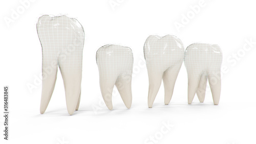 Healthy protected teeth isolated on white background. Set of teeth. The concept of toothbrushing  care and protection against caries. Oral care Teeth whitening  3d illustration