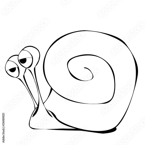 Schnecke