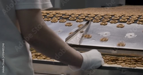 Snacks production Closeup conveyor, worker inspecting baked pretzel snacks