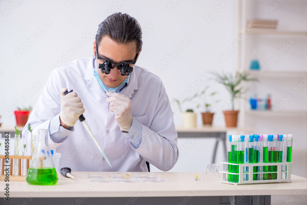 Young male chemist working in the lab Young male chemist working in the lab
