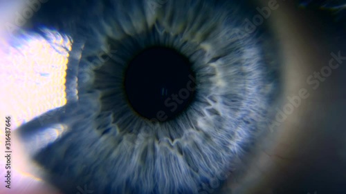 Close-up. Macro Blue Female Human Eye. Pupil Cornea Iris Eyeball Eyelashes. Blink Open Closed photo