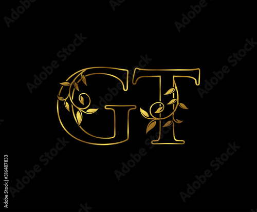 Golden G, T and GT Classy Luxury Letter Logo Icon 