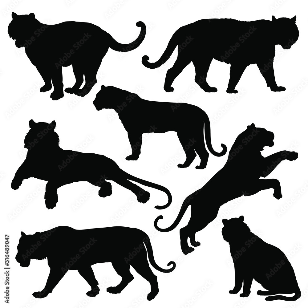 Tiger silhouette set. Vector illustration เวกเตอร์สต็อก | Adobe Stock