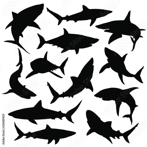 Shark silhouettes set.. Vector illustration
