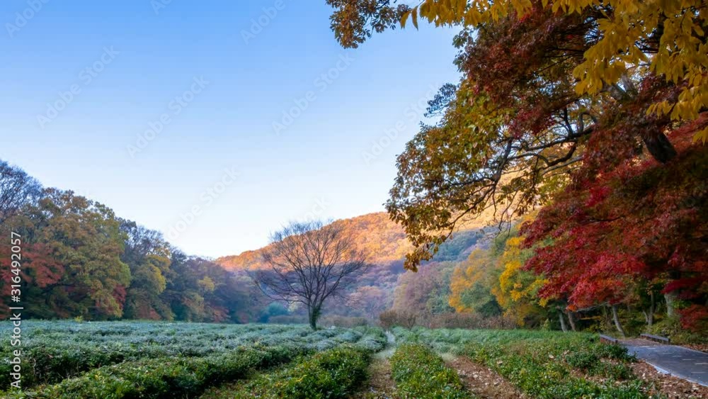 Beautiful autumn in the valley of Gochang Seonunsa temple. Zoom out Beautiful autumn in the valley of Gochang Seonunsa temple. Zoom out