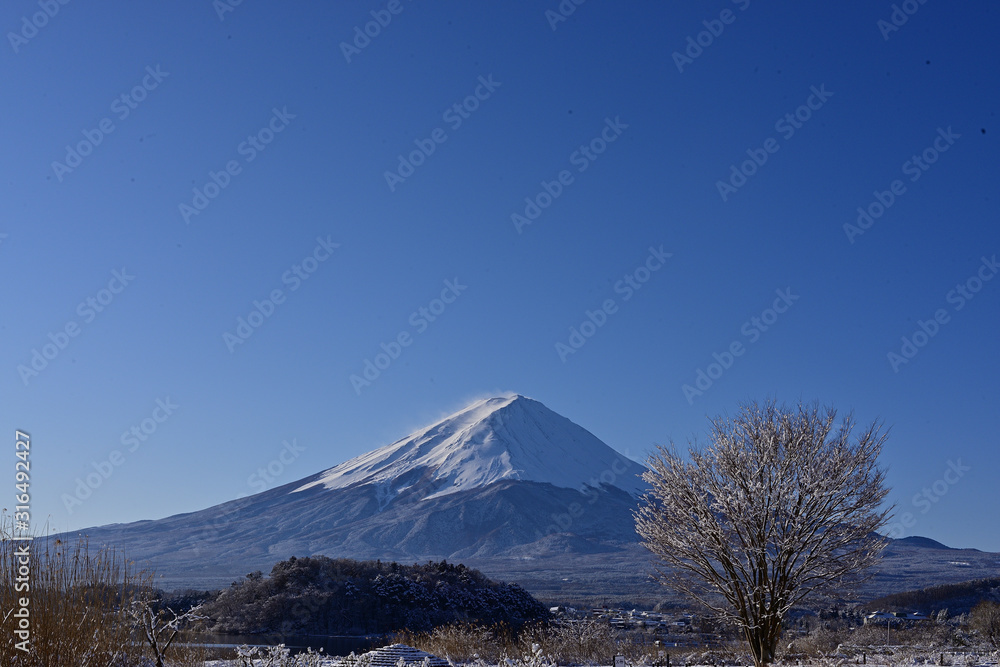 Fototapeta premium Everything was covered with snow as far as the eye could see.