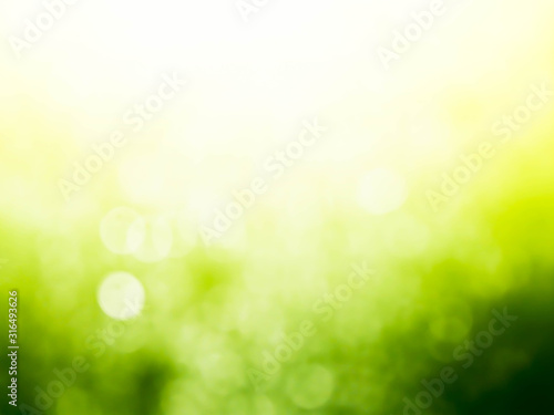 green bokeh background,green bokeh.green bokeh abstract.