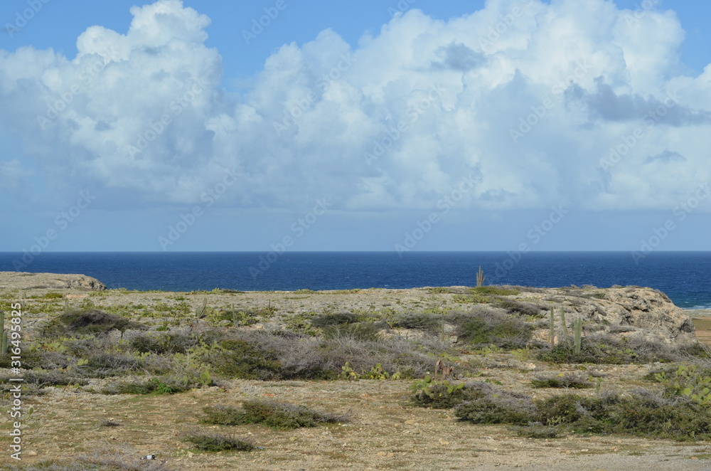 Desert meets ocean in Aruba