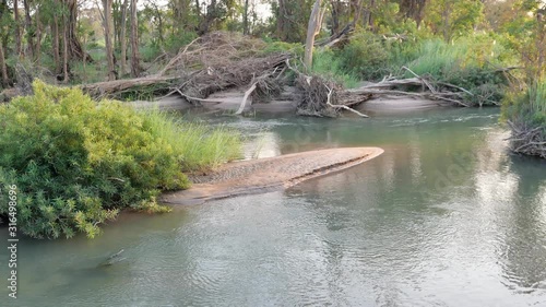 Forest and green plant on the beach of the island in the Mekong River at Stung Treng in Cambodia, Trees and blue sky reflecting on the water surface photo