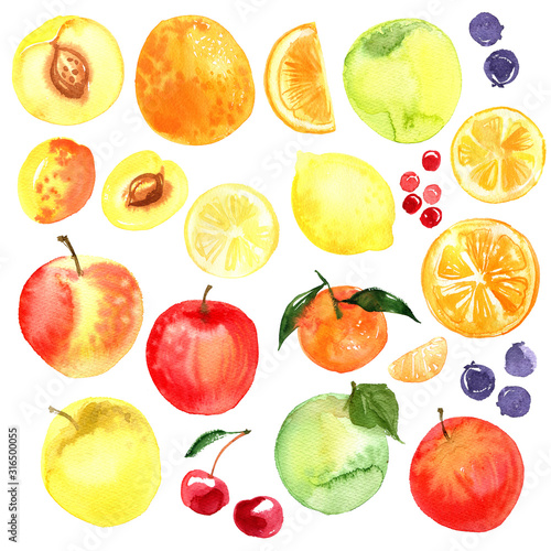 Fototapeta Naklejka Na Ścianę i Meble -  Lemon, apricot, peach, orange, pear, papaya, pomegranate, berries painted with watercolor on a white background. A colored sketch of fruits.